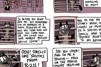 Green Humour by Rohan Chakravarty on Kolkata’s palm civets