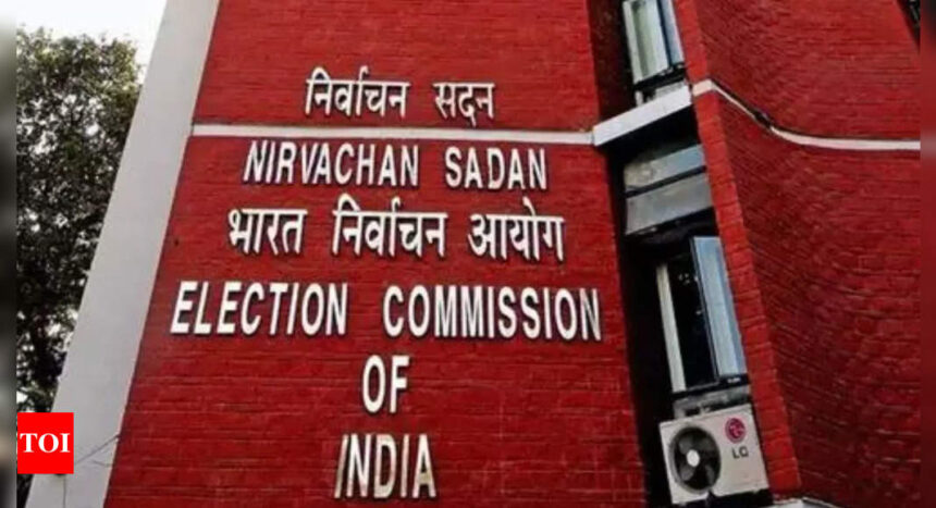 LS polls: More than 79,000 violations reported so far through C-Vigil app, says EC | India News