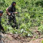 Naxal camp busted on Maharashtra-Chhattisgarh border, explosives seized