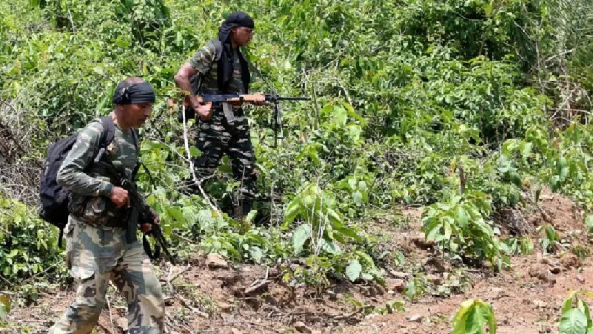 Naxal camp busted on Maharashtra-Chhattisgarh border, explosives seized