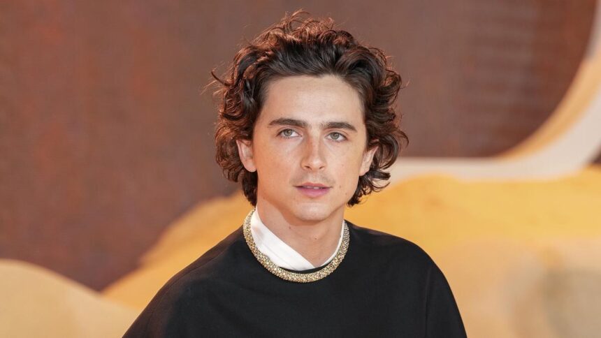 Timothée Chalamet enters multi-year deal with Warner Bros following ‘Dune’ and ‘Wonka’ success