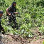 29 Naxals killed in encounter with security personnel in Chhattisgarh; 3 jawans