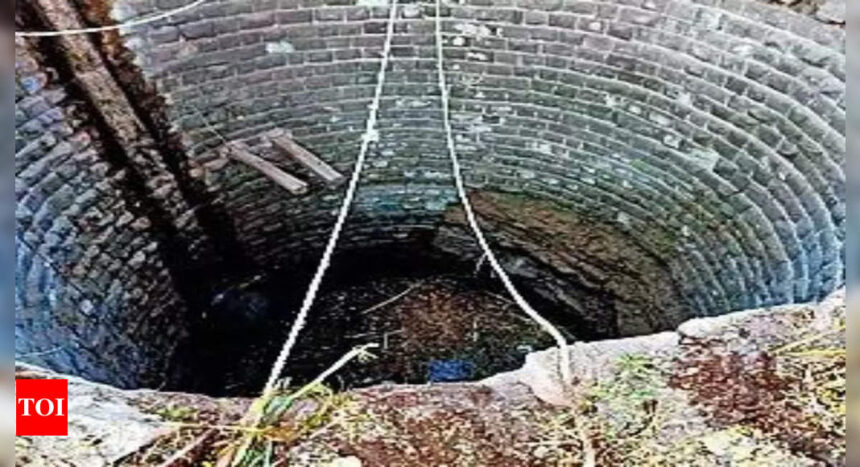 5 of family feared drowned while trying to save cat from well | India News