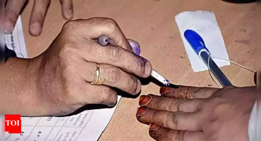 All arrangements made for LS polls, 6 candidates in fray in Mizoram | India News