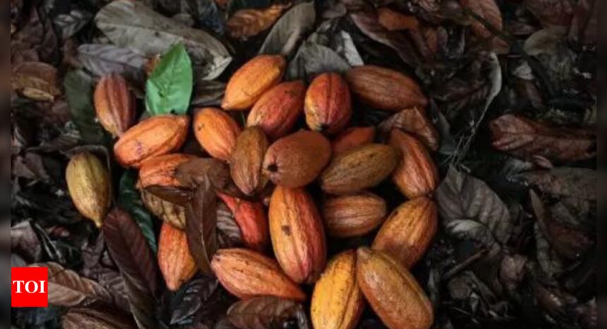 Amul chocolates may get costlier as rising cocoa prices bite