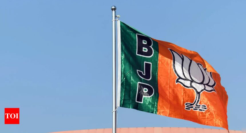 BJP to take foreign political parties on election tourism | India News