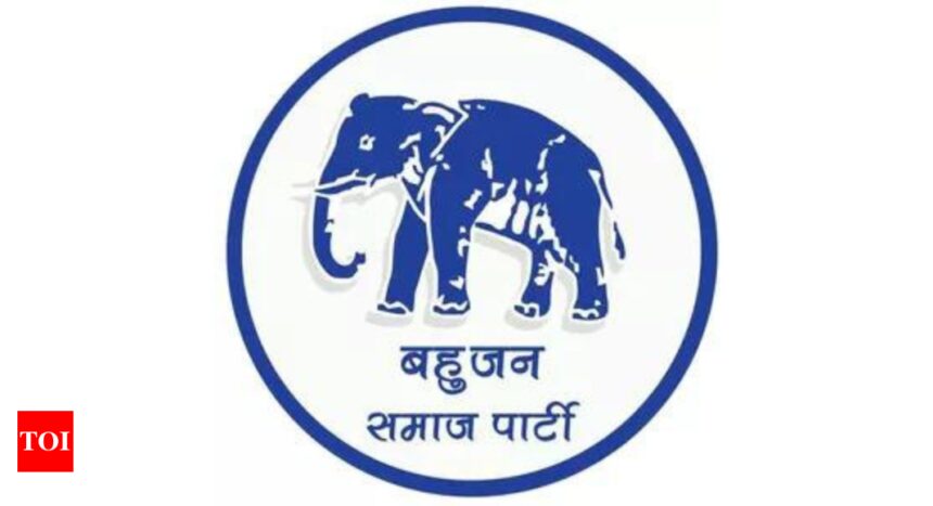 BSP released third list of candidates for Lok Sabha elections in UP | India News