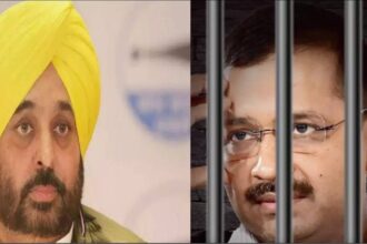 Bhagwant Mann meets Kejriwal in jail, says he is being treated like hardcore criminal | India News