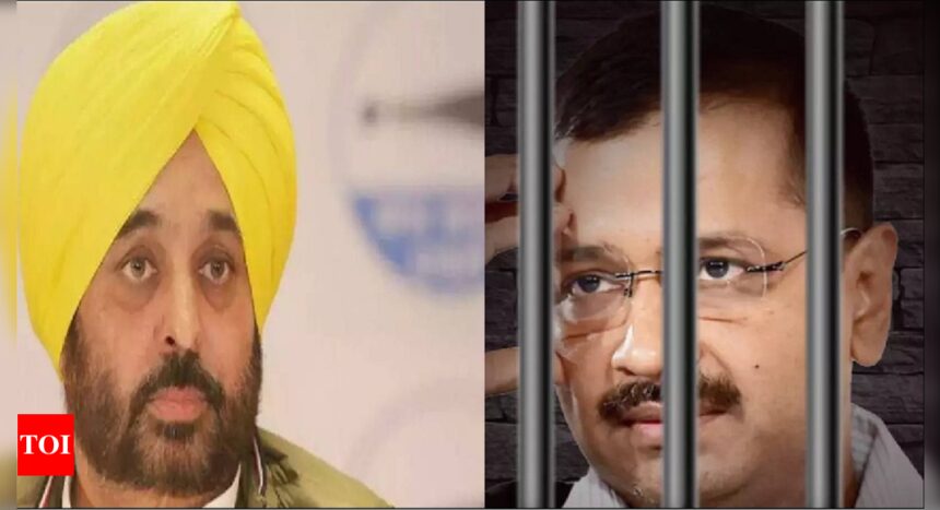 Bhagwant Mann meets Kejriwal in jail, says he is being treated like hardcore criminal | India News