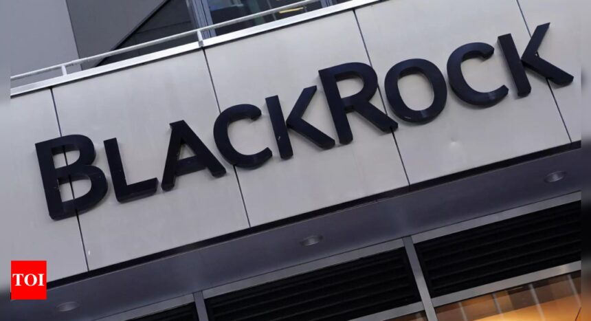 BlackRock's first-quarter profit rises on higher fee income