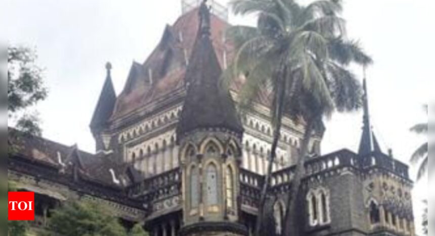 Bombay HC gives Church Trust and State time to file affidavits in Wilson College Gymkhana land tussle | India News