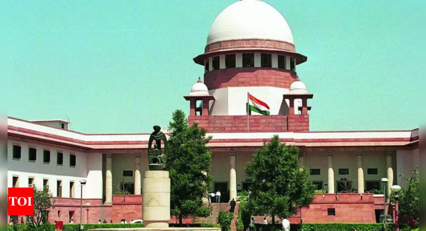 Candidates need not disclose every movable property owned by them: Supreme Court | India News