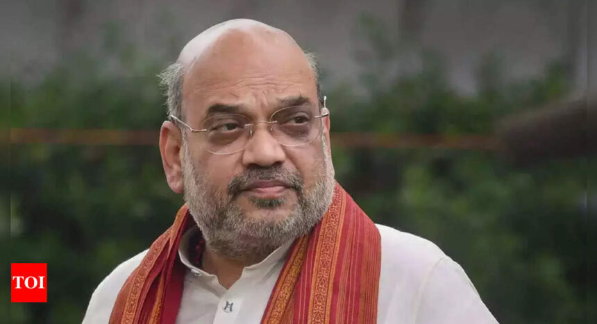 Congress hell-bent on harming Hindus, Buddhists, Jains, Christians, Sikhs: Amit Shah on Chidambaram's assertion that his party will repeal CAA | India News