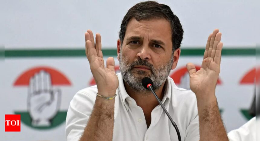 Congress will work for unemployed youth in Karnataka; will introduce 'Pehli Naukri Pakki' scheme: Rahul Gandhi | India News