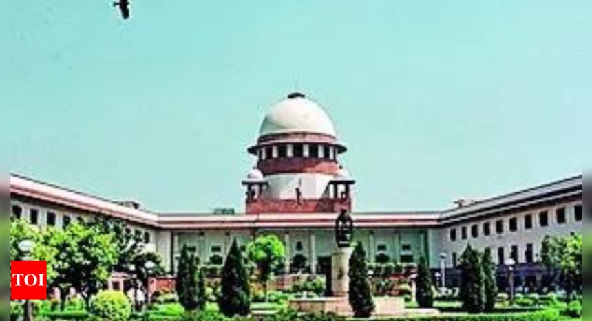 Denying child-care leaves to mother of disabled child violates State's constitutional duty: SC