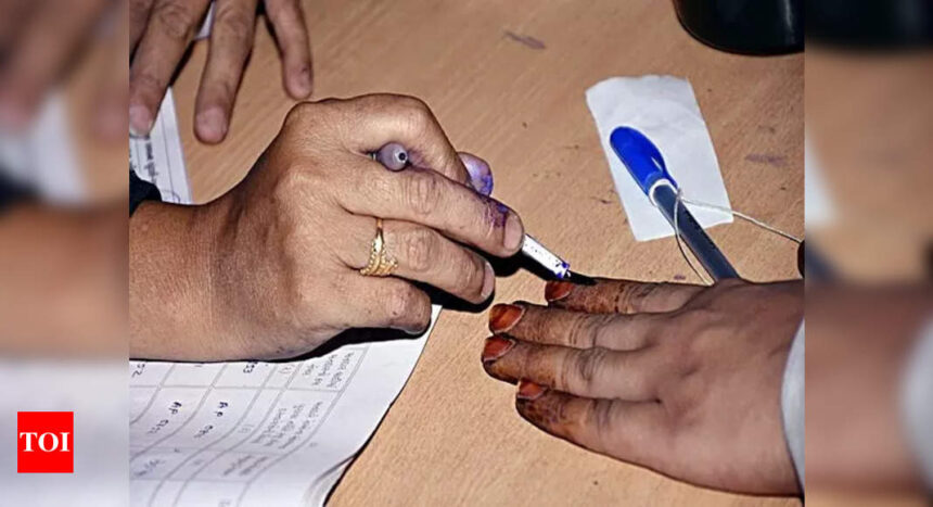 EC identifies 266 LS seats with lower voter turnout; says 'one size fits all' approach won't work | India News