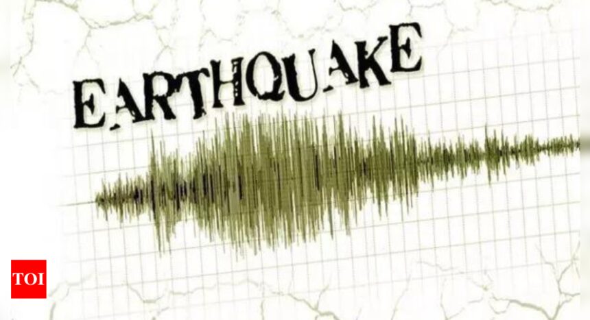 Earthquake of magnitude 3.4 strikes Kargil | India News