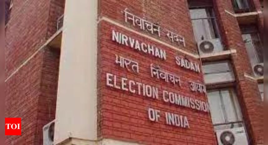 Election Commission tightens border surveillance to prevent illegal activities | India News