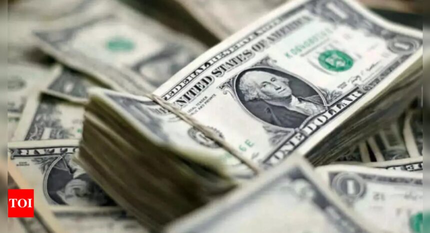 Forex reserves drop 1st time in 8 weeks