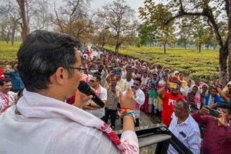 Gaurav Gogoi campaigns in tea gardens of Assam | India News