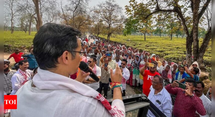 Gaurav Gogoi campaigns in tea gardens of Assam | India News