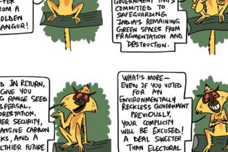 Green Humour by Rohan Chakravarty on golden langurs and the upcoming election