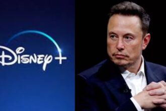 'I would definitely buy if... ,': What Elon Musk said on buying Disney shares