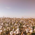 ICE cotton slides, weak dollar fails to support sentiments