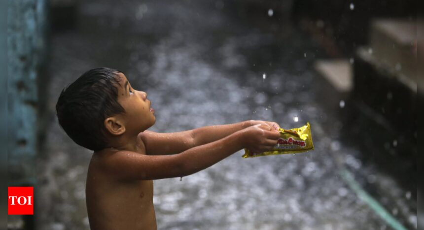 IMD issues alert for rainfall, hailstorm in Delhi, NCR, other parts of country | India News