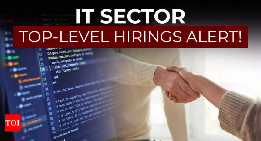 IT sector hiring alert! Headhunters see rising number of search mandates for senior IT talent