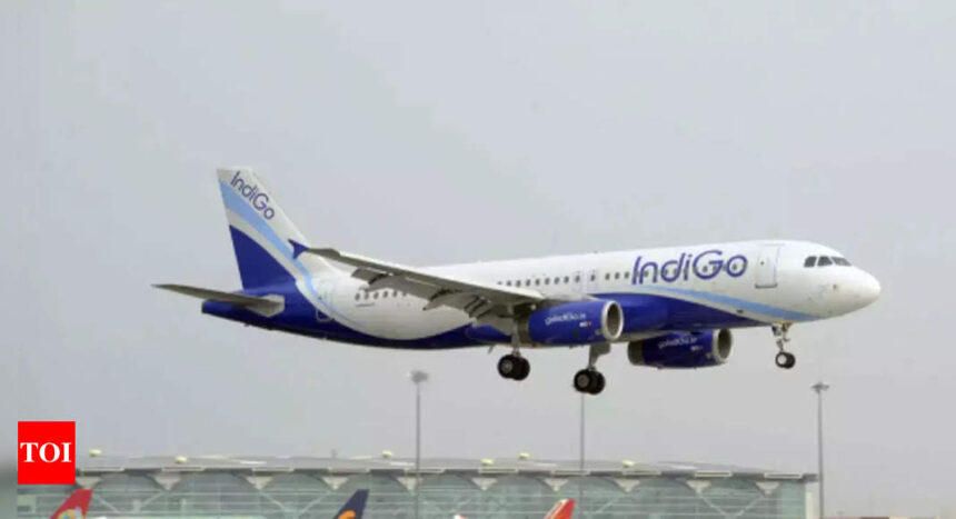 IndiGo announces in-flight entertainment on Delhi-Goa route for the first time; check features, trial details | India Business News