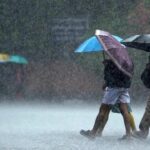 India likely to experience normal monsoon this year: Skymet