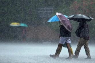 India likely to experience normal monsoon this year: Skymet