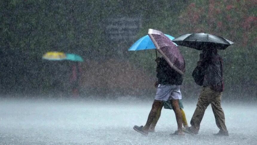 India likely to experience normal monsoon this year: Skymet