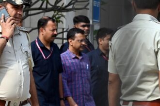 LG Conspiring With Tihar Authorities: AAP Repeats 'Plot to Kill' Charge, Demands Insulin For CM