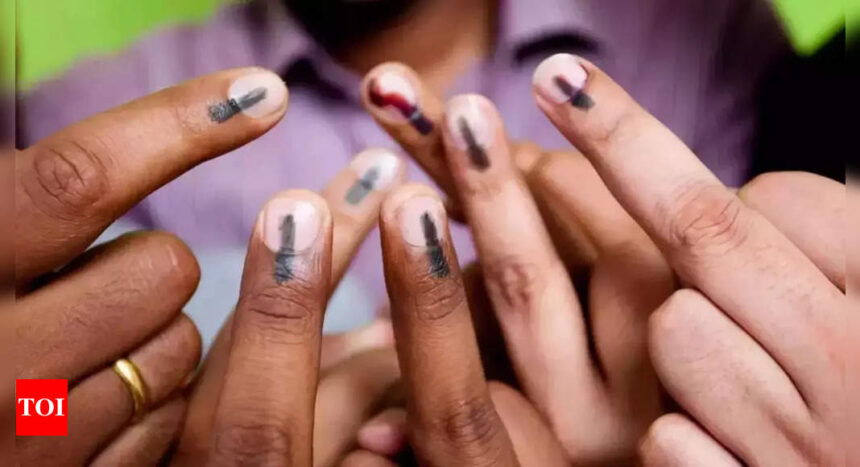 Lok Sabha elections: How to check your polling booth? | India News