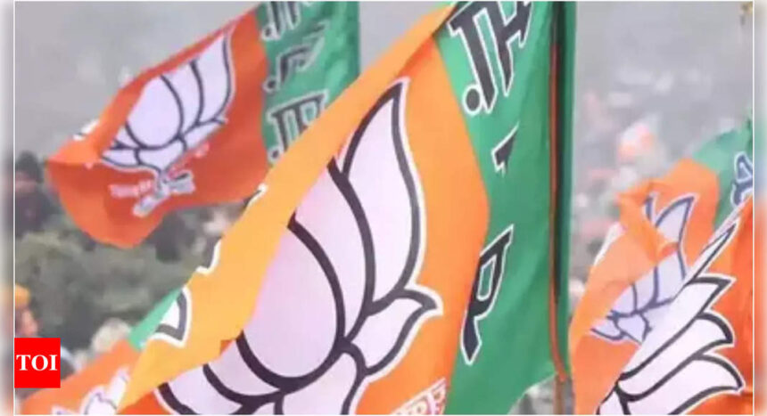 Lok Sabha polls: BJP releases 10th list of candidates | India News