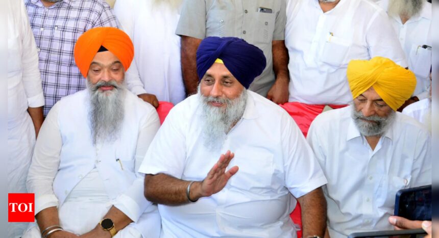 Missing from poll talk, Shiromani Akali Dal rakes up sacrilege this time | India News