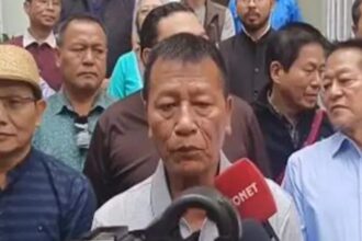 Mizoram's biggest concern is the apprehension of minorities being sidelined: Congress' Pu Lalbiakzama | India News