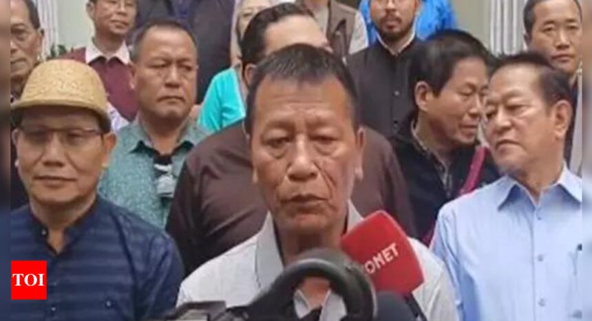 Mizoram's biggest concern is the apprehension of minorities being sidelined: Congress' Pu Lalbiakzama | India News