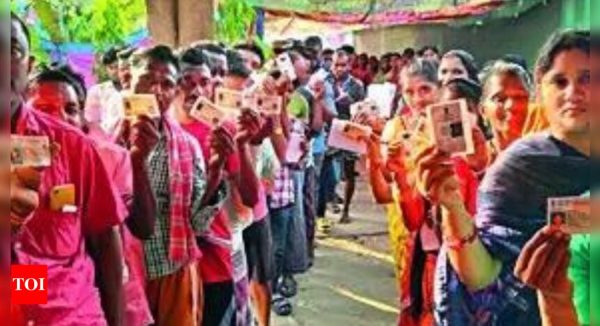 Naxal-hit Bastar gives ballots the thumbs-up, records 64% turnout