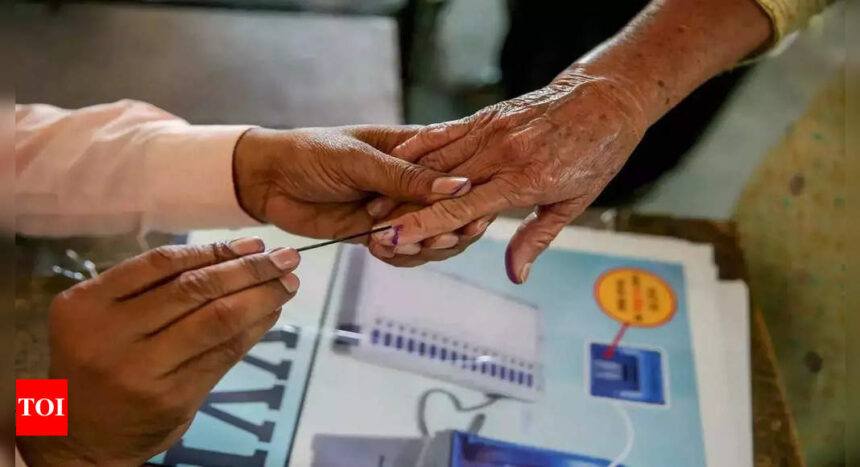 Nomination filing begins today for the general elections to Lok Sabha and bye-elections to legislative assembly in Gujarat | India News