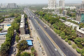 Over 7k trees cut for Delhi-Dehradun E-way