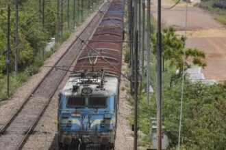 Passenger bitten by 'snake' on Kerala-Tamil Nadu train | India News