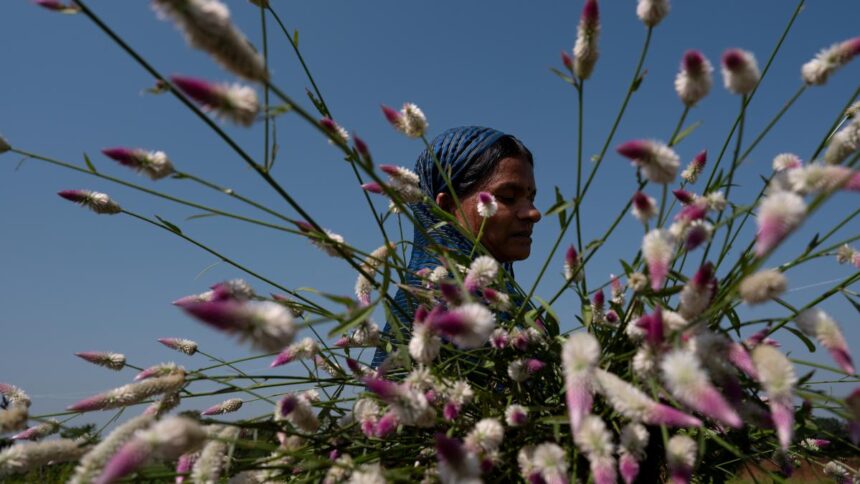 Power to the frame | CPB Photo Awards winners of 2024