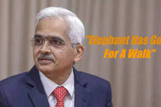 RBI monetary policy: Why Shaktikanta Das said 'the elephant has gone out for a walk'