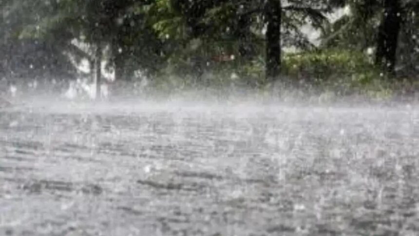 Rajasthan: Light rain, thunderstorms likely in parts of state in next few day