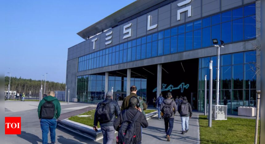 Tesla to release 300 temporary workers in Germany