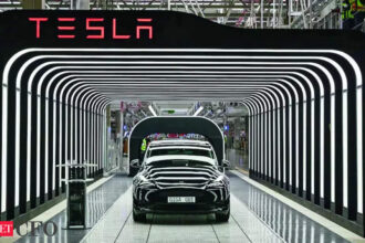 Tesla woos China customers with cheaper cars after Musk defers India visit, ETCFO