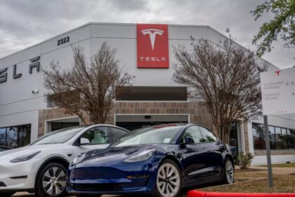 Tesla's shift throws India factory plans in limbo